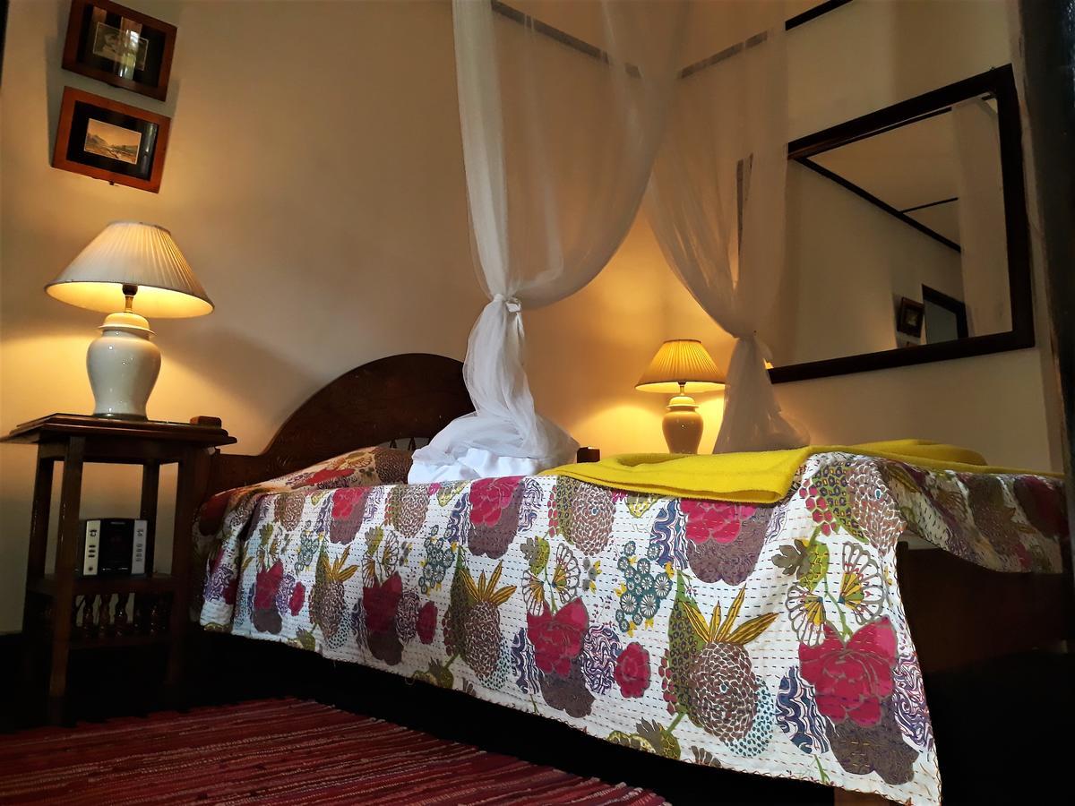 The Icebear Guesthouse Negombo Exterior photo